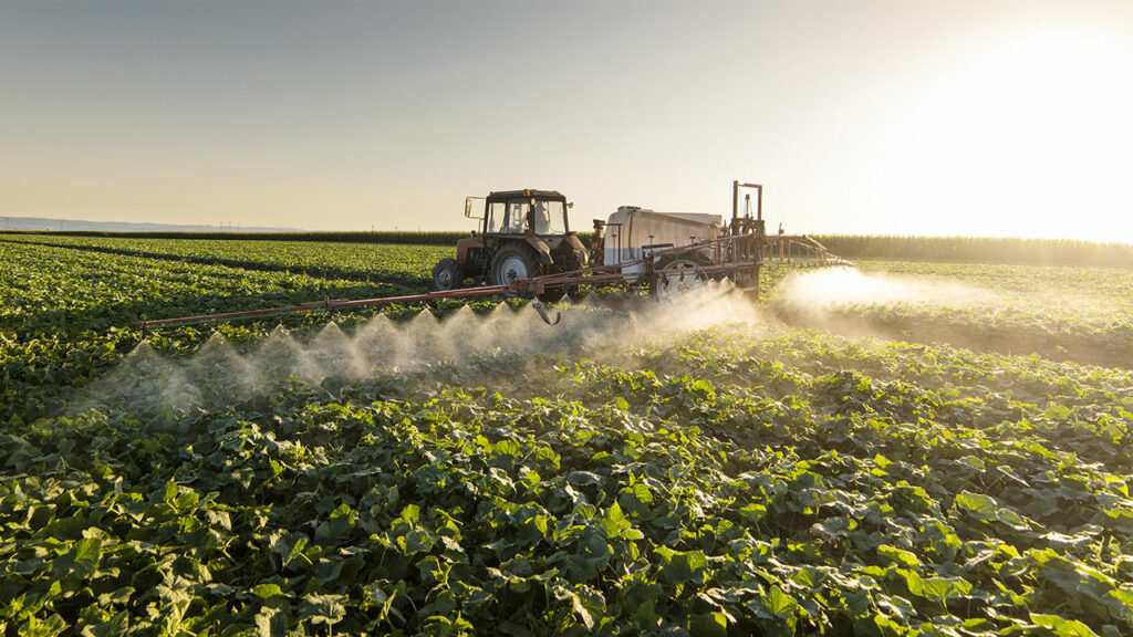 The ground contaminated by those chemicals is a concern and needs ...